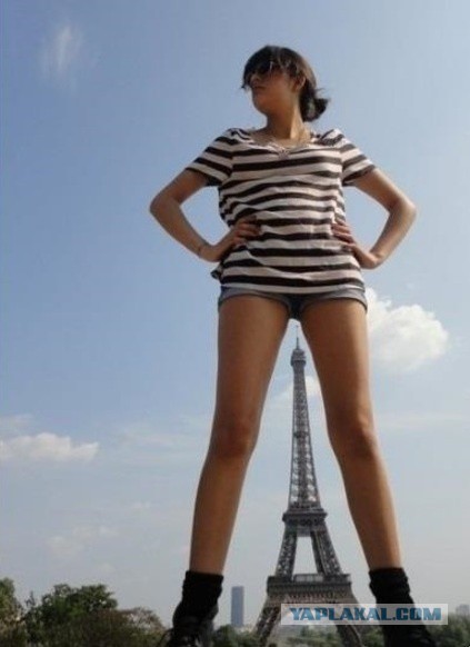 Подборка смешных, не очень и просто красивых фотографий