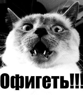 Сенсация! Надежда Савченко умерла! Ещё в феврале.