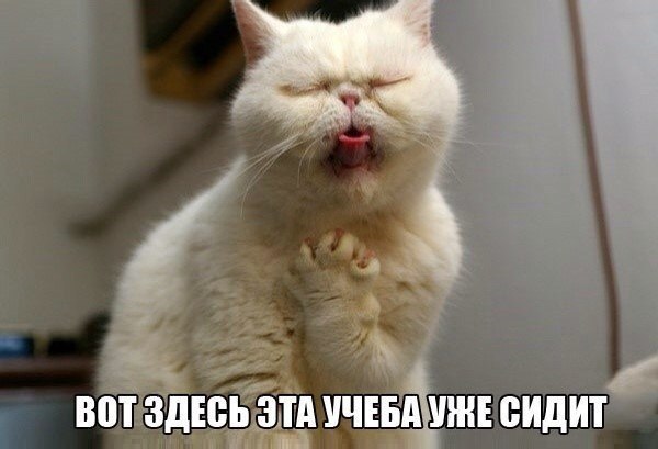 Небольшая подборка разного из сети.