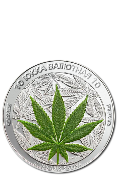 ЯП посетители