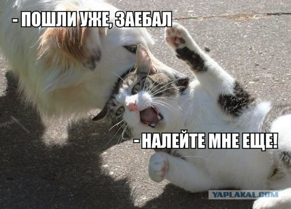 Мощная доза деградации на выходные