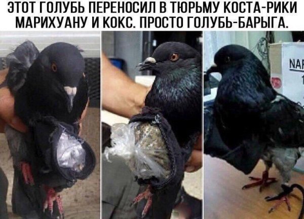 Журнал "Деградант" 4 выпуск 16+