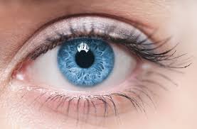 Что ищут офтальмологи на глазном дне?