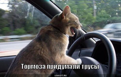 Ремень безопаности? Да ну, на фиг