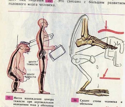 33 примера гениального вандализма в школьных учебниках