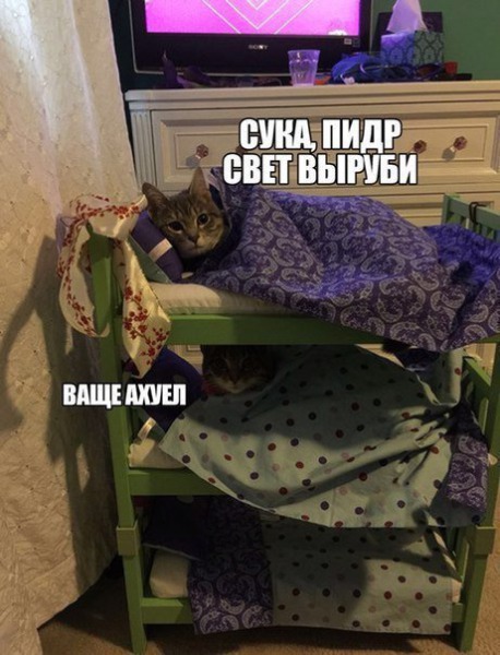 150 картинки для поднятия настроения!