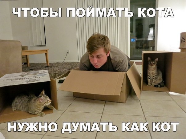 Нестандартный юмор