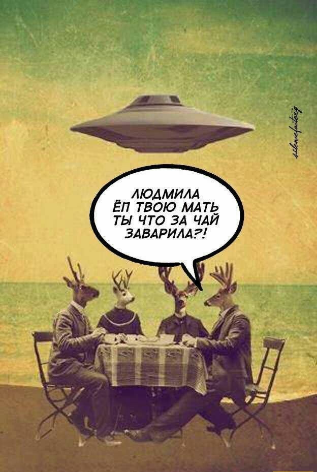 На зарядку позитивом становись!