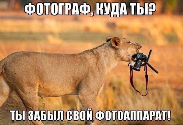 Итоги проверки пользователей