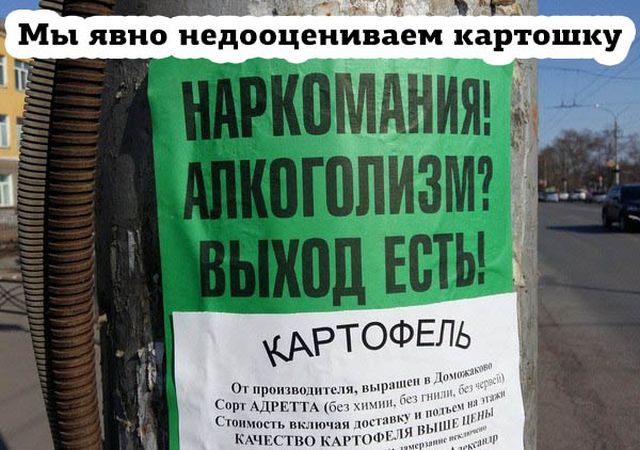 Немного картинок в этот понедельник