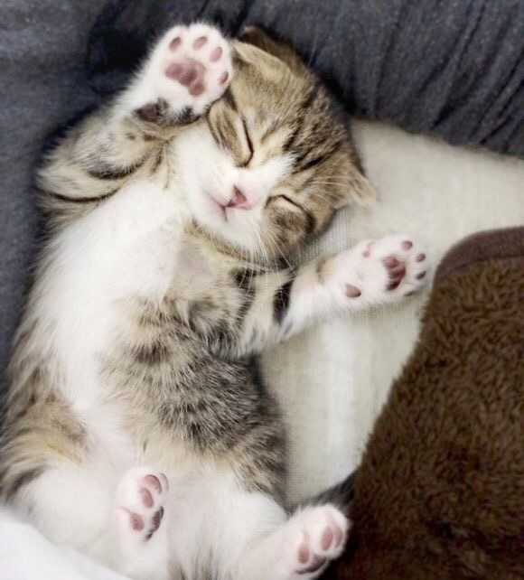 Немного милоты