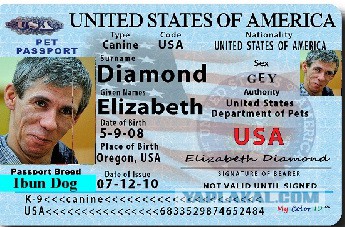 Панин переезжает в США