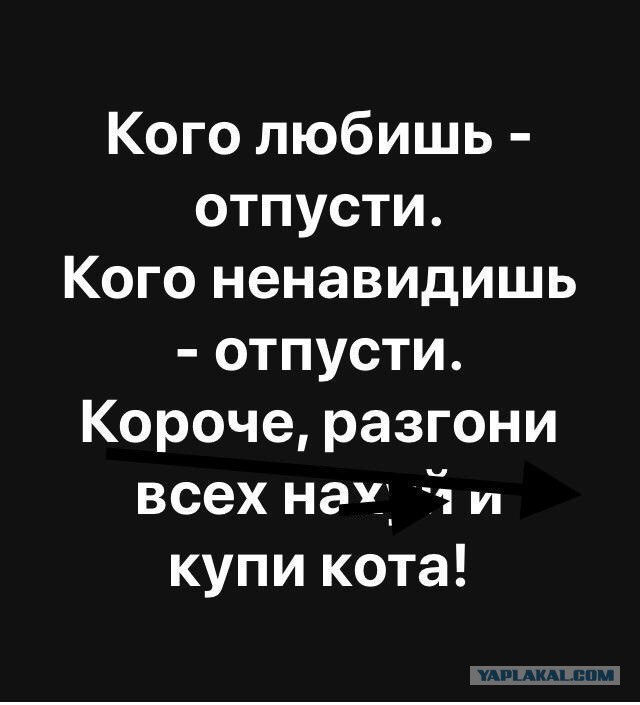 Подборка прикольных и просто красивых картинок 10.03.2019