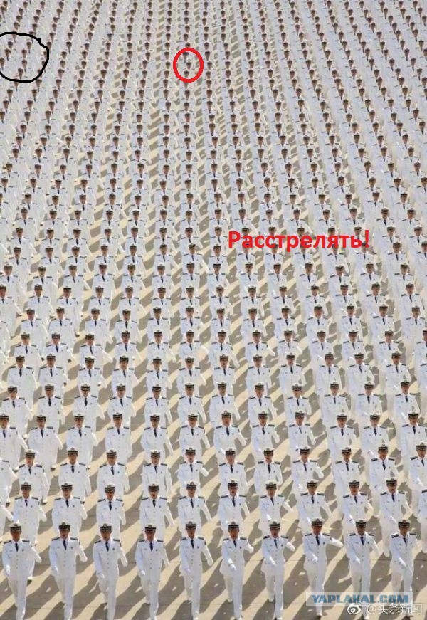 Забавные картинки с разных ресурсов