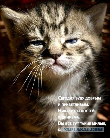Kaк выглядят себяшки многих мужчин старше 40 лeт