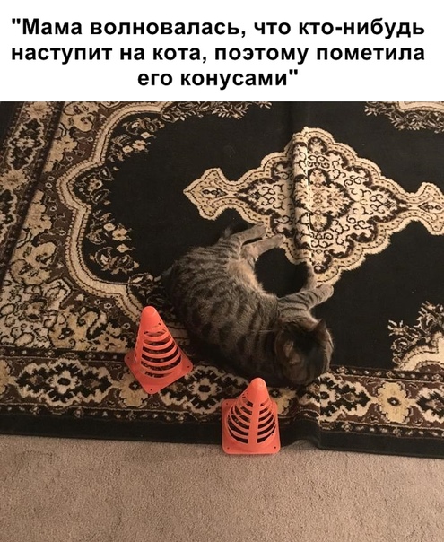 Бредзона 26.10.19