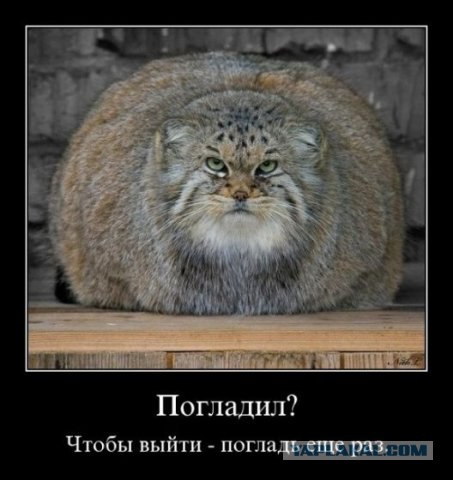 Вопрос про энергосберегающие лампы