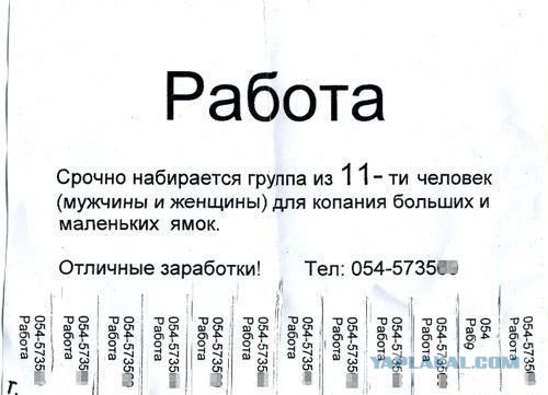 Продам козу