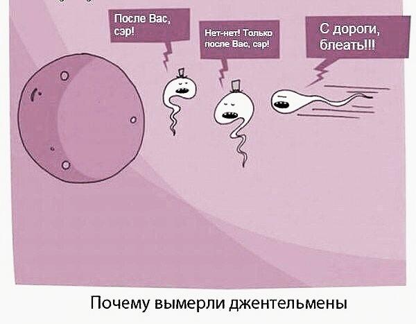 Древние мемы с ВК. Для тех кто забыл #3