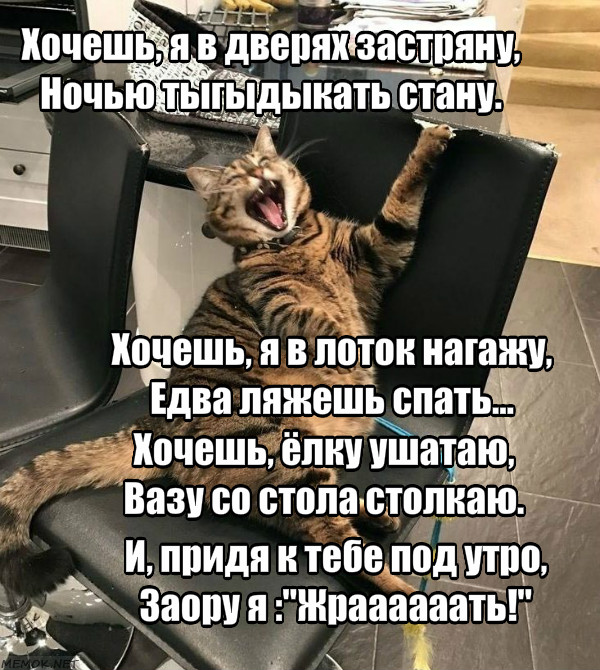 Немного поэзии