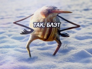 Если бы у птиц были руки
