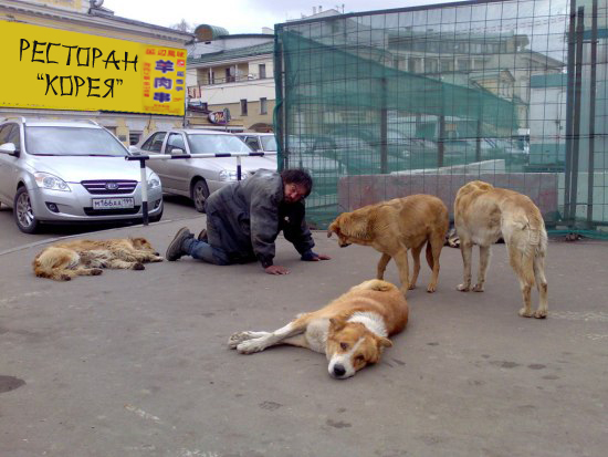 Лучший друг человека.... или наоборот!?