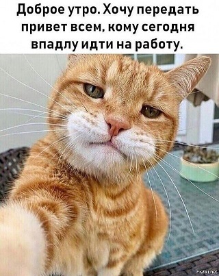 Как вы боритесь с ленью и депрессией