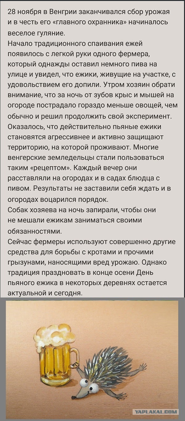 Картинки с надписями и всякие жизненные фразы