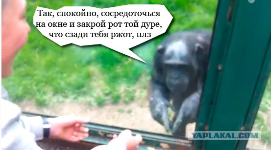 Я тебе на пальцах объясняю