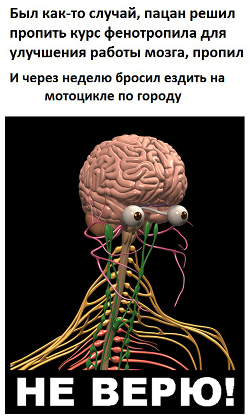 Подборка тупого йумора для деградатов