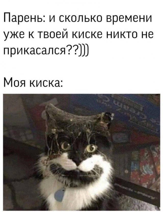 Аморальная деградация