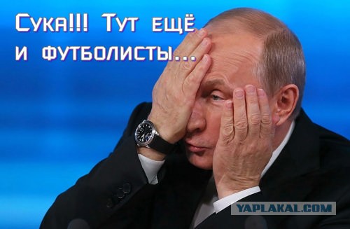 Яиц нет, тренер - пёс, капитан - собака