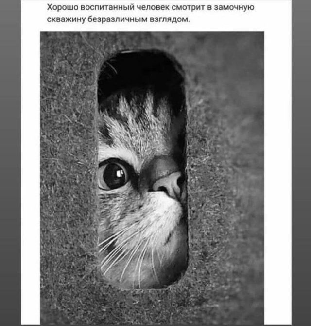 Картинки и мемы для настроения