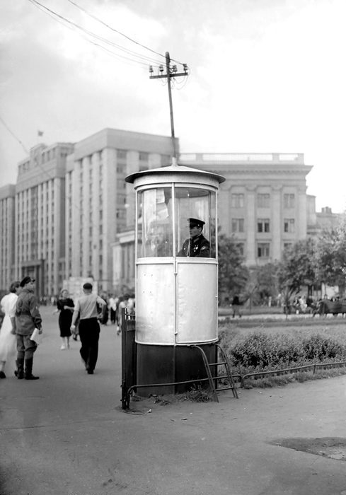В погоне за Фоксом