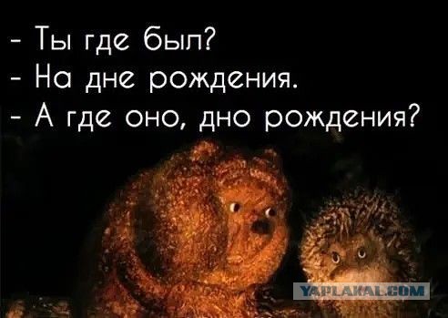 "Третья волна": школьный эксперимент 60-х, который пугает нас до сих пор
