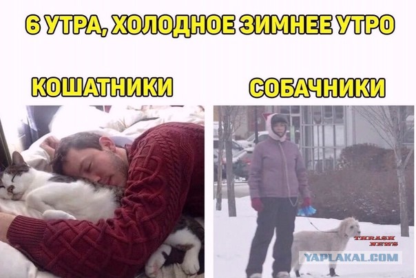 Кто хотел ориентала?
