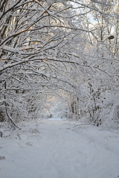 Чернобыль. Припять. Боль