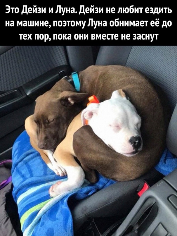 Картинки и мемы. Выходные близко...