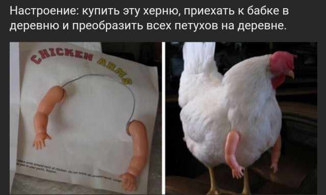 Немного картинок для настроения - 131