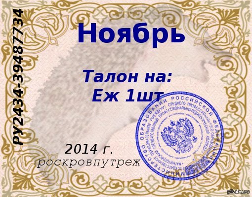 Власти установили лимит на добычу ежей и мышей в Свердловской области