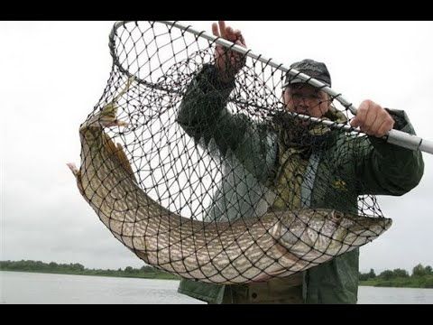 Мордор лунной ночью