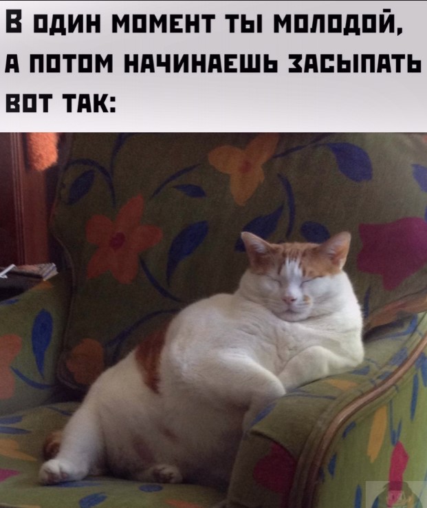 Так себе картинки 23.02.24