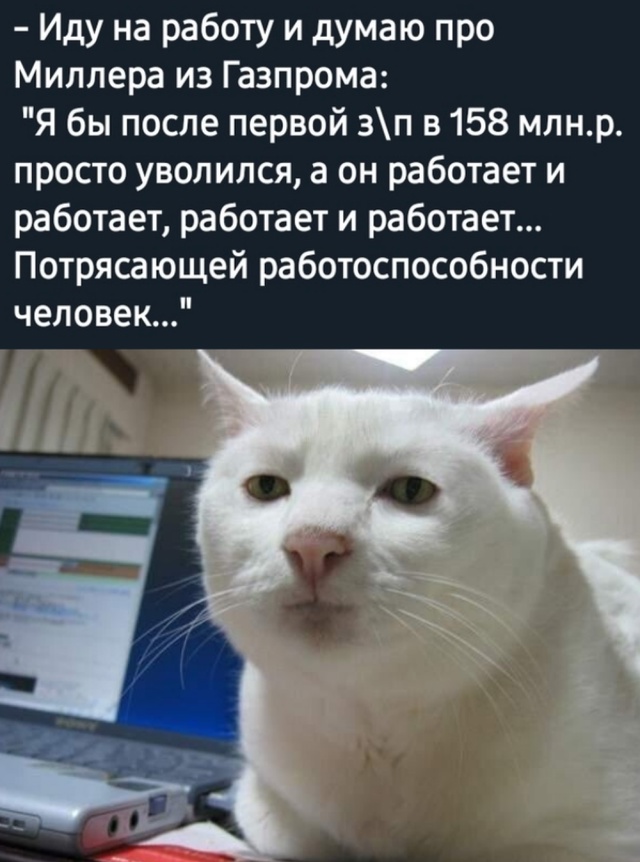 Весёлый полтишок 25.03.25