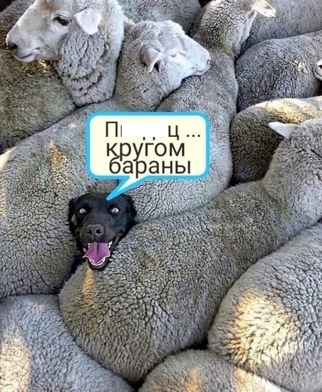 Что перевесит, правый, или левый стакан и почему?