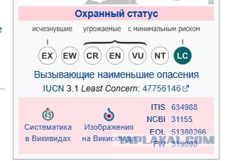 Склиф показал пациентов из Подмосковья, которых укусила гадюка