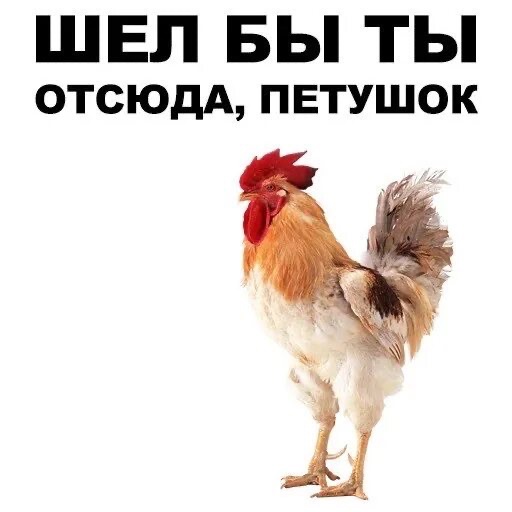 Анекдот
