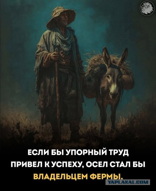 Картинки для деградации 90 (разной степени свежести)
