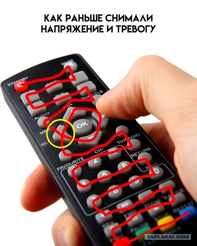 Среды картинки