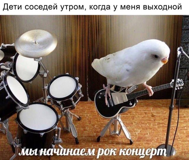 Картинки для деградации 125 (разной степени свежести)