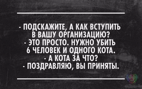 Почему кошки скидывают вещи со стола?